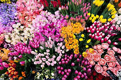 红钩工作室披露《暗黑地牢2》新角色逃亡者 新增燃烧机制